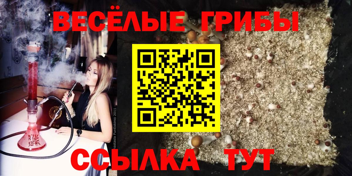 Галлюциногенные грибы Magic Shrooms  Галлюциногенные грибы MAGIC MUSHROOMS  Киров  Вход с VPN 